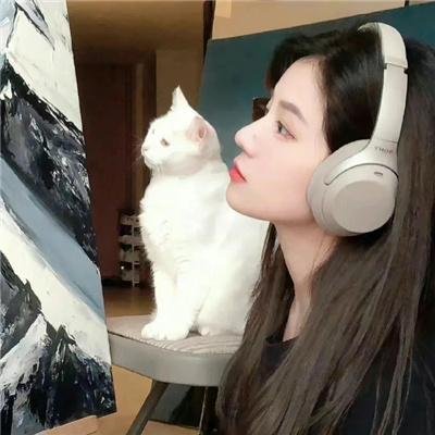 宝藏海报